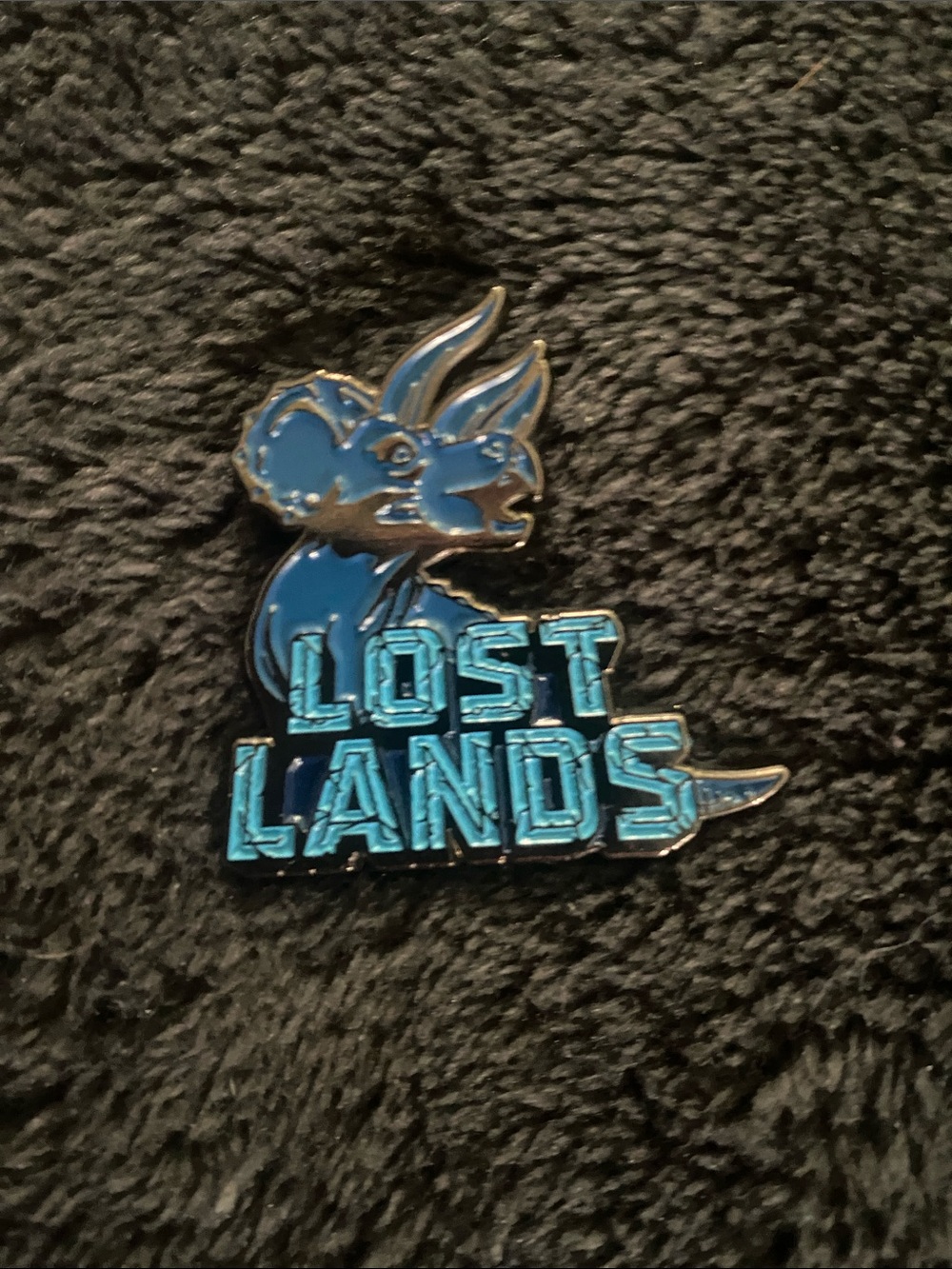 Lost lands music festival pin